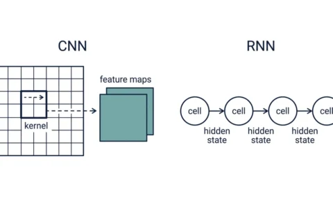 CNN vs RNN: Key Differences