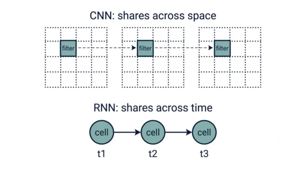 Diagram showing a CNN filter reused across different positions of a grid to share weights across space, next to an RNN cell reused across timesteps t1 t2 t3 to share weights across time