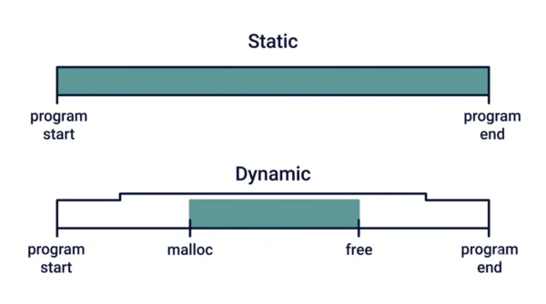 Two timelines showing static memory existing for the whole program run, and dynamic memory existing only between the malloc call and the free call