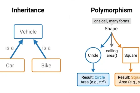 Inheritance vs Polymorphism: Key Differences