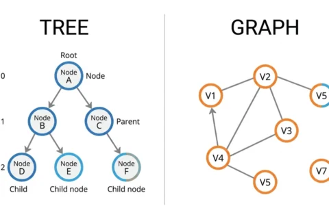 Graph vs Tree in Data Structures: Key Differences Explained
