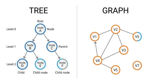Two-panel diagram comparing a tree as a rooted acyclic hierarchy with a graph as a network of vertices and edges that contains a cycle and a disconnected node