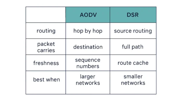Infographic comparing AODV and DSR on routing hop-by-hop versus source routing, packet carries destination only versus full path, freshness by sequence numbers versus route cache, and best fit larger versus smaller networks