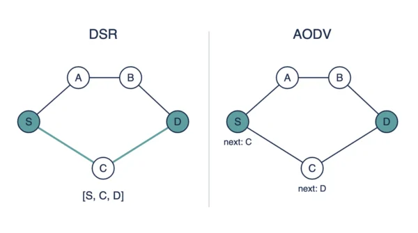 Same five-node topology shown twice, DSR on the left carrying the full route S C D in the packet, AODV on the right showing next-hop labels at S and C