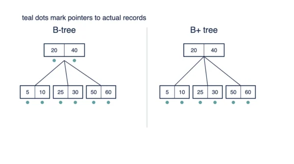 Two small trees compared, the B-tree showing record pointer markers on the root and on every leaf, and the B+ tree showing markers only on the leaves with keys alone in the root