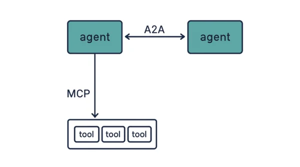 Diagram showing an agent box connected downward through MCP to a row of tool boxes and sideways through A2A to a second agent box