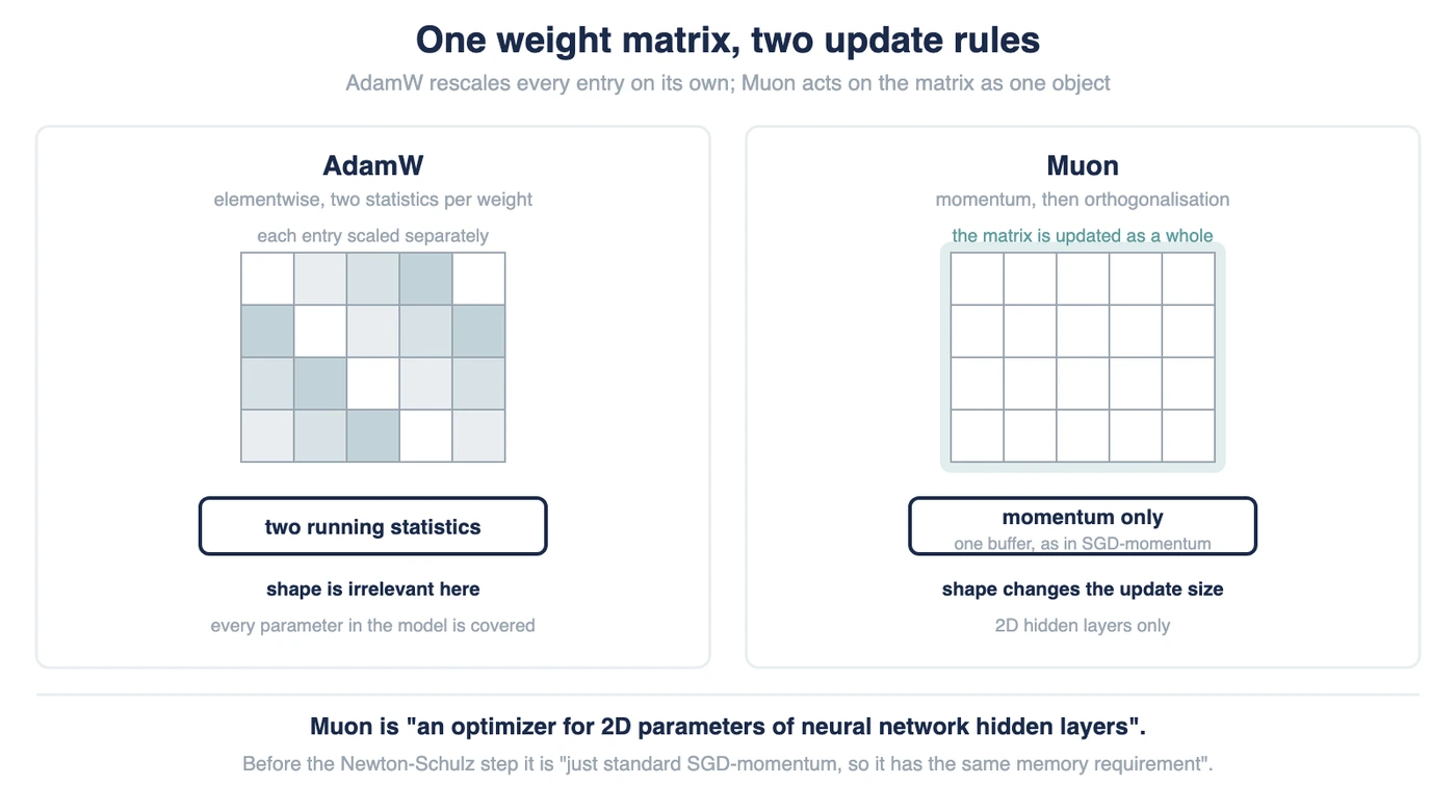 Muon vs AdamW: Key Differences