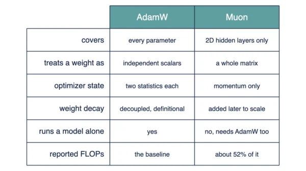 Muon and AdamW at a glance Infographic comparing Muon and AdamW on parameter coverage, optimizer state, core operation, weight decay and reported training FLOPs